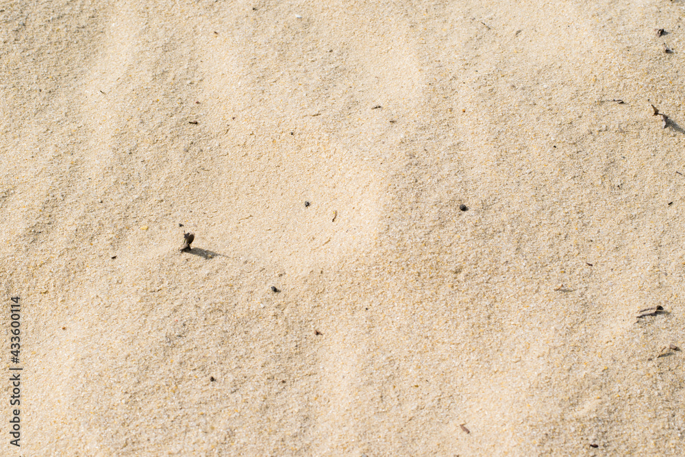 Beach sand close up, texture of river or sea sand on the beach in summer Beach sand close up, texture of river or sea sand on the beach in summer