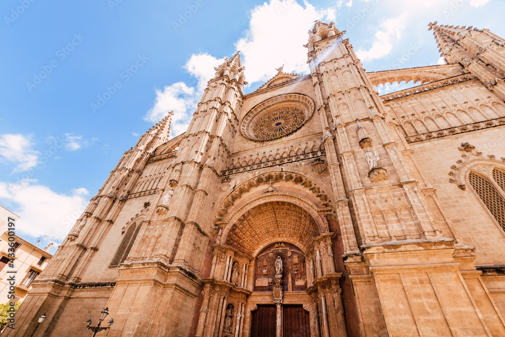 palma de mallorca cathedral from low angle
