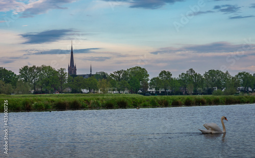 Landscape with church and a swan in Markdal nature reserve nearby the city of Breda, North Brabant photo