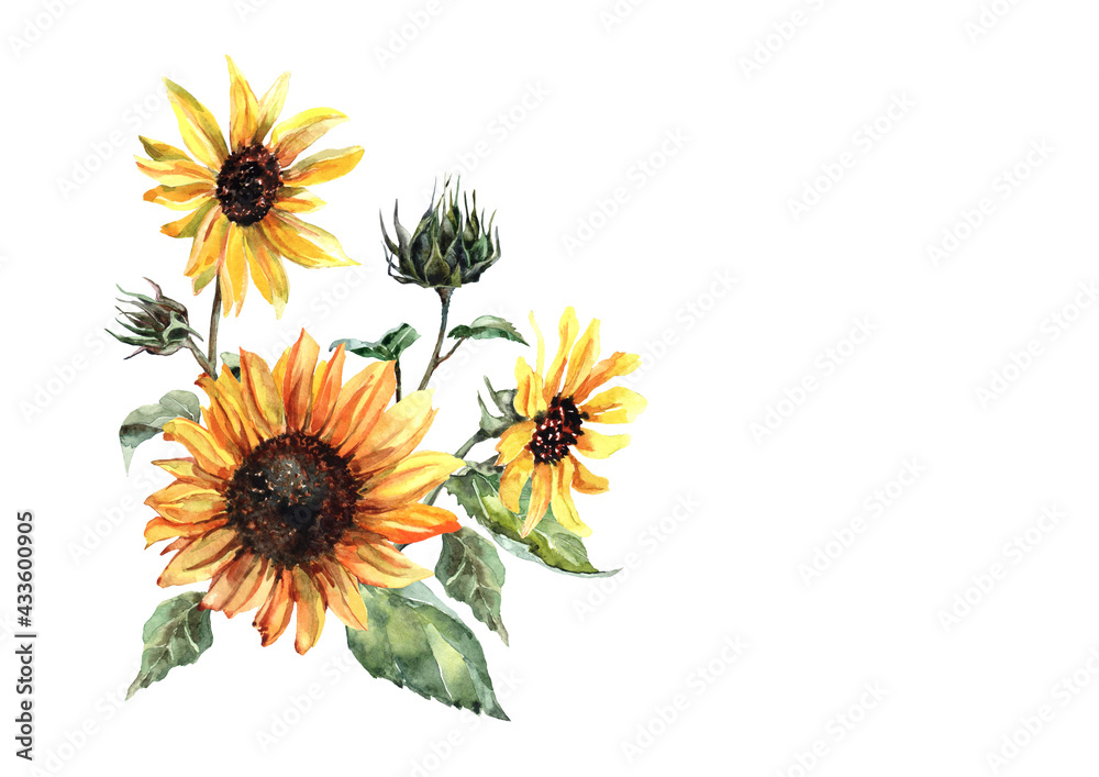 Naklejka premium A bouquet of sunflowers with blossoming yellow heads on a stem with green leaves on a white background. Handmade watercolor composition for cards, invitations, prints, textiles, background, packaging.
