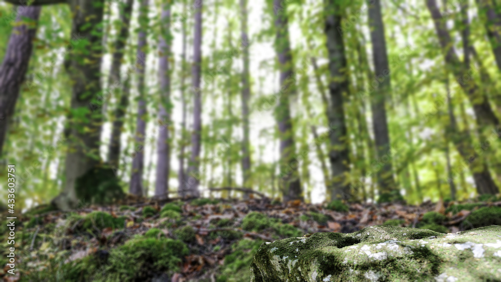 Naklejka premium Green moss background and free space for your decoration.