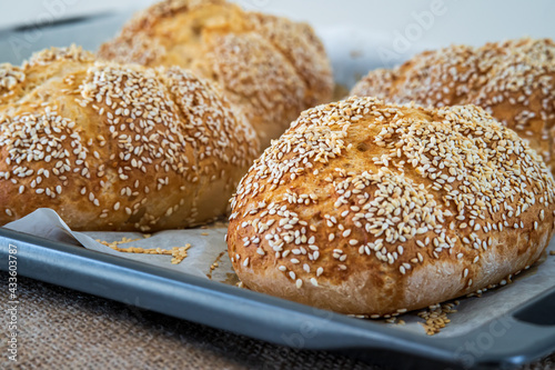 Fresh challah bread rolls hot from the oven on baking tray. Gluten free bread buns or mini loaves with sesame seeds and golden color ready to eat. Fluffy shaped bread for sandwiches, lunch and dinner.