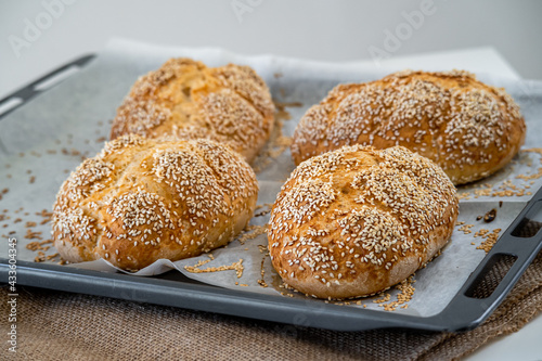 Fresh challah bread rolls hot from the oven on baking tray. Gluten free bread buns or mini loaves with sesame seeds and golden color ready to eat. Fluffy shaped bread, great for sandwiches. Side view