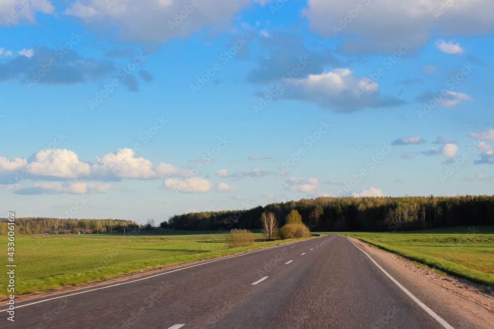 Road through an agricultural field of green grass near the forest. Woodland. Blue sky clouds.