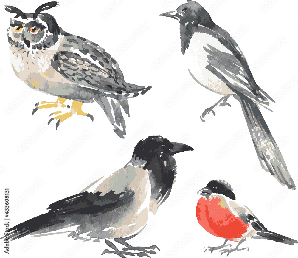 Fototapeta premium Vector image of watercolor sketches various wild birds