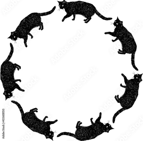 Vector round frame from sketches black domestic cat