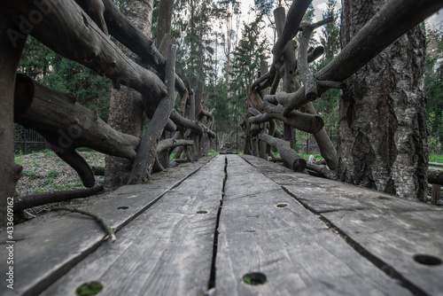 Wooden bridge. Nature forest background.