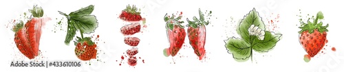 Strawberry set. Imitation of watercolors. Interior culinary banner. Red berries. Print for postcards, fabrics. Hand drawn. Doodle.Strawberry  leaves, berry , and flowers . Berry slices
