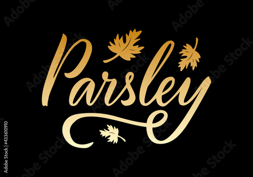 Vector illustration of parsley lettering for packages, product design, banner, spice shop  price lists. Handwritten word with leaves for web or print

