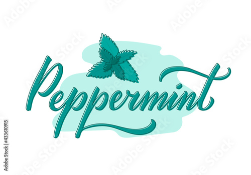 Vector illustration of peppermint lettering for packages, product design, banner, spice shop  price lists. Handwritten word with leaves for web or print
