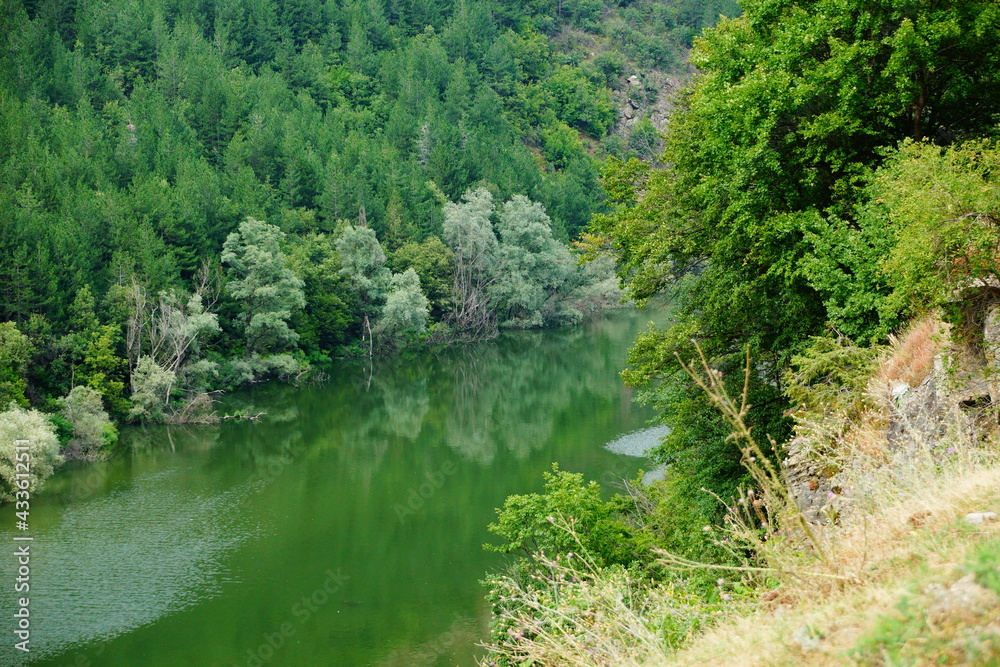 The river that flows deep in the forest The river that flows deep in the forest