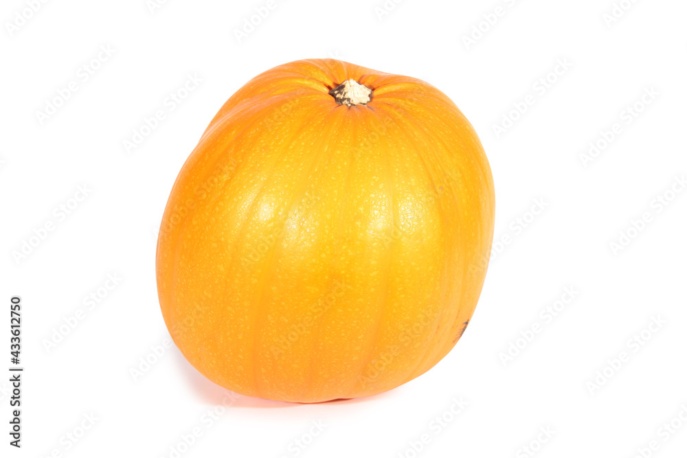 Obraz premium Large pumpkin on a white background. Isolated object