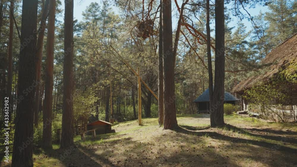 Rural wooden house in a coniferous forest in spring. Old wooden well in the yard. A traditional log house with a garden on a sunny day. Young green leaves on the branches. Latvia Rural wooden house in a coniferous forest in spring. Old wooden well in the yard. A traditional log house with a garden on a sunny day. Young green leaves on the branches. Latvia