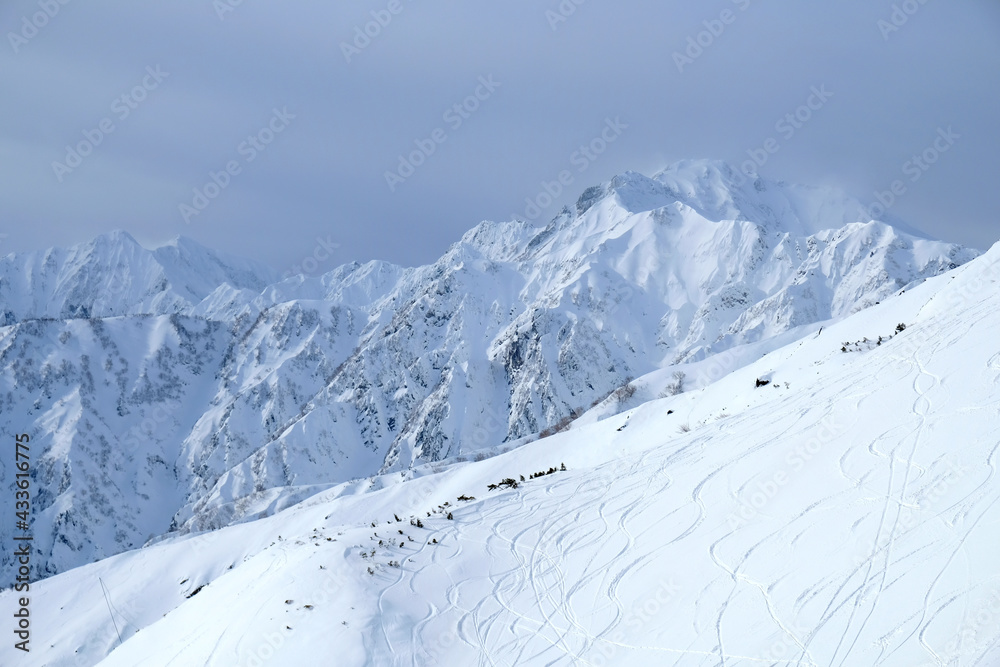 Naklejka premium バックカントリー