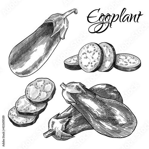 Eggplant set, sliced and whole. Hand drawn vector illustration isolated on white background.