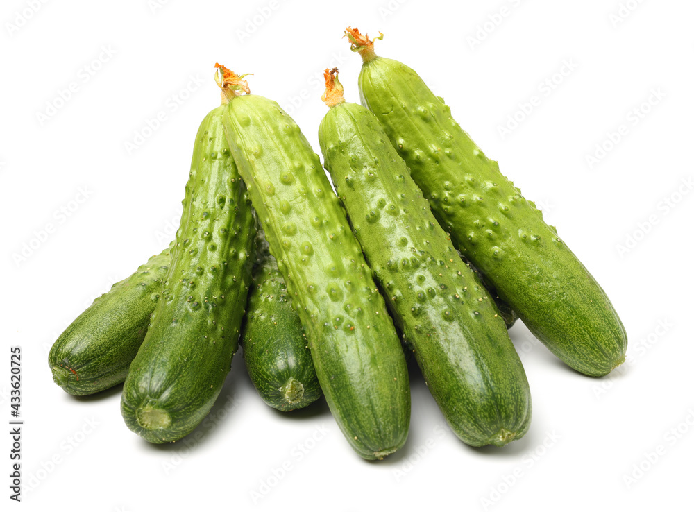 Green cucumber on the white background Green cucumber on the white background