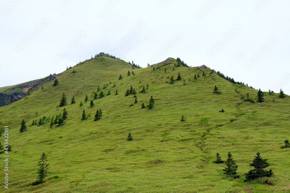 Naklejka premium 絵画のようなコントラスト 