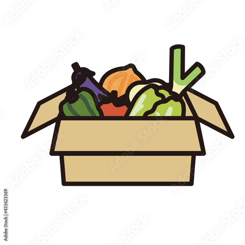 段ボールに箱詰めされている野菜