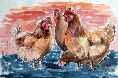 Four chickens standing in the water, painted with a liner and watercolor