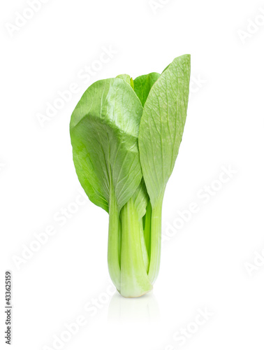 Bok choy  vegetable (chinese cabbage) isolated on white background