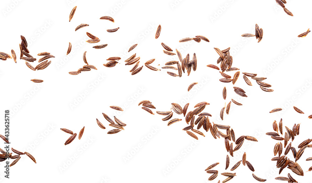 Caraway seeds isolated on a white background. Caraway seeds isolated on a white background.