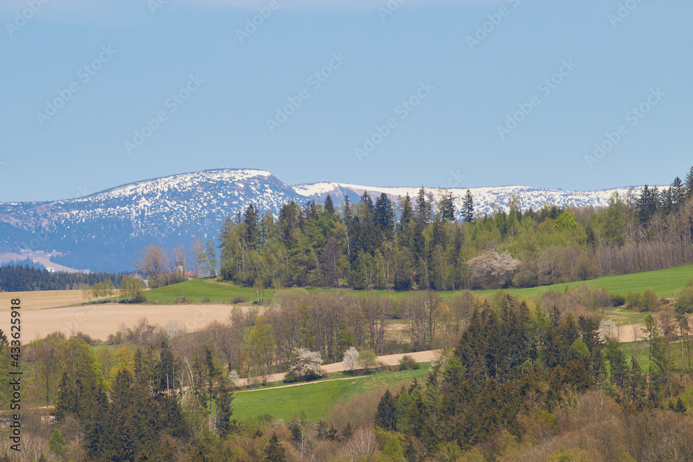 Spring landscape. Budding trees. Christmas trees. Forest. Green and brown fields. Mountains. Snow-capped peaks. Blue sky. Spring landscape. Budding trees. Christmas trees. Forest. Green and brown fields. Mountains. Snow-capped peaks. Blue sky.