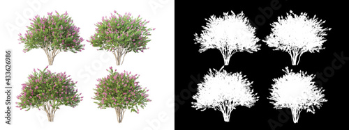 Wallpaper Mural Many kinds of trees Variety of styles
 Torontodigital.ca