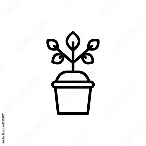 Plant in pot line icon. Isolated vector element.