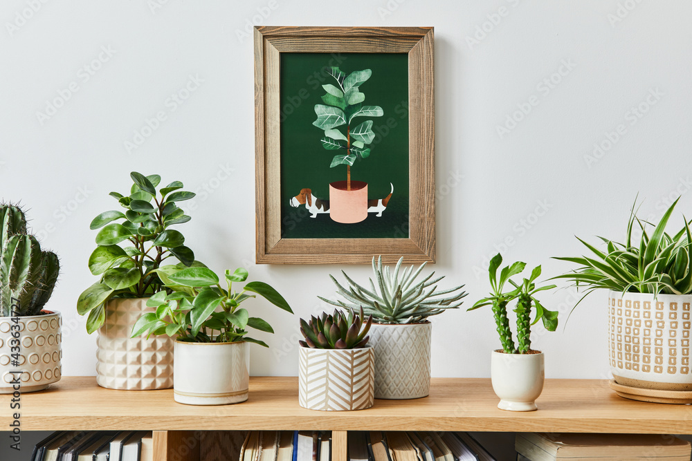 Stylish composition of home garden interior with mock up poster frame, filled a lot of beautiful plants, cacti, succulents, air plant in different design pots. Home gardening concept. Template.
