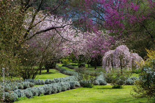 Ninfa photo