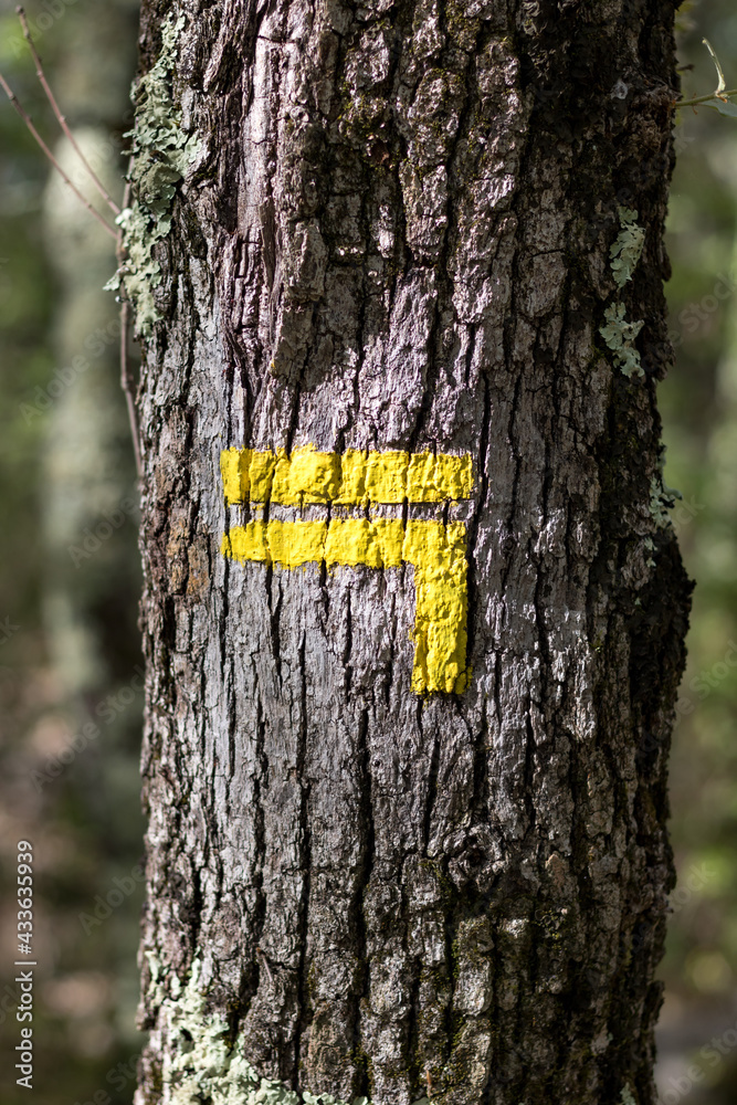 Fototapeta premium Balisage jaune pour indiquer un chemin de randonnée PR (France)