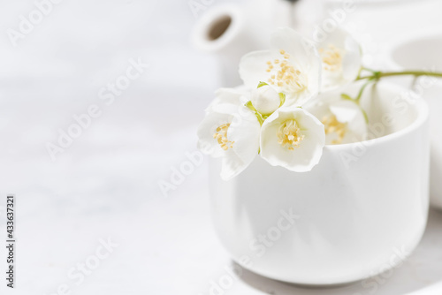 white pialat, tea and jasmine. japanese tea party, selective focus