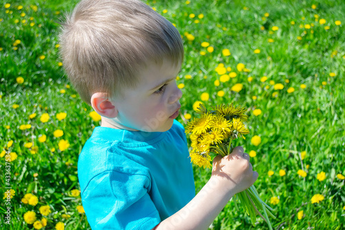 child picks and sniffs flowers spring allergy selective focus © Anna