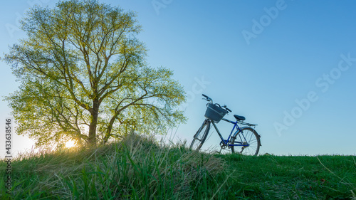 bike ride in the evening to nature. beautiful landscape with poplar sun and bike in the evening. bottom view