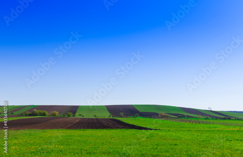 field and blue sky. farm or countryside landscape