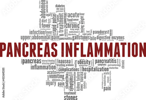 Pancreas inflammation vector illustration word cloud isolated on a white background.