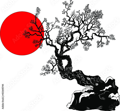 Sakura flower tattoo.Hand drawn isolate cherry blossom flower of Japan.Outline and silhouette peach blossom.