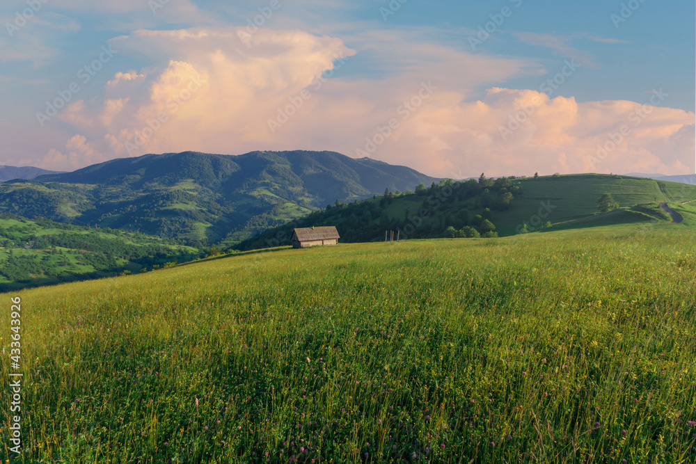 Beautiful summer scenery with the rural house. High grass meadow and blue sky with clouds on Carpathian mountains. Ukraine.