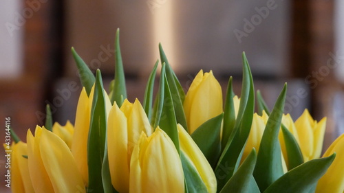 A bouquet of yellow tulips close up