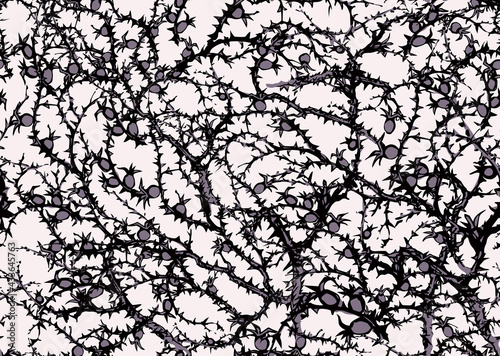 Branches of Blackthorn. Vector drawing © Marina