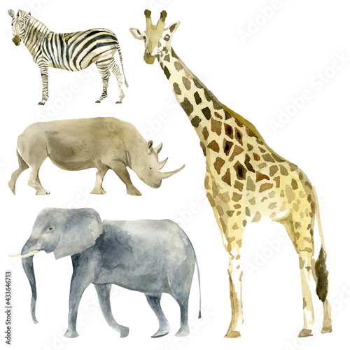 Fototapeta Naklejka Na Ścianę i Meble -  Watercolor vector illustration of wildlife Africa. African safari animals set. Giraffe, elephant, zebra, hippo in the savannah.