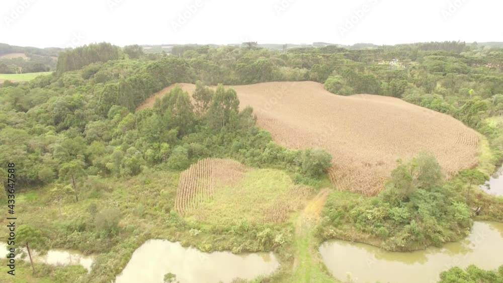 Bela Imagem Aerea - Bueno Drones