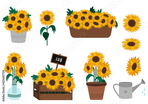 Set of sunflowers in difficult containers