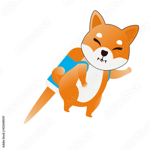 Vector illustration of a dog similar to the Shiba Inu cryptocurrency isolate. Shib dog flies on a jetpack