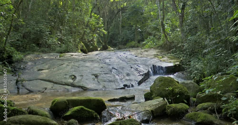 custom made wallpaper toronto digitalimagen of wild nature of rapids surrounded by native vegetation of the Atlantic forest
