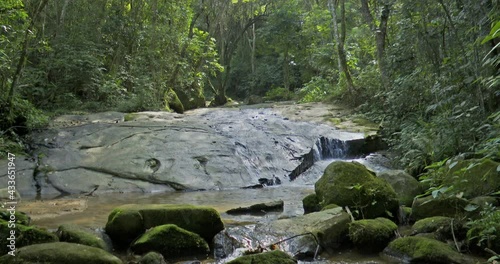Wallpaper Mural imagen of wild nature of rapids surrounded by native vegetation of the Atlantic forest Torontodigital.ca