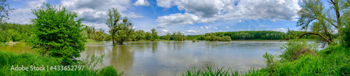 flooded rierside forest at the danube river near wallsee mitterkirchen in austria photo