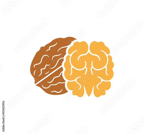 Walnut logo. Isolated walnut on white background