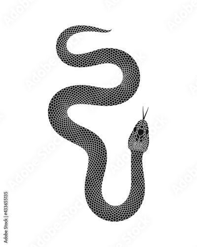 Snake logo. Isolated snake on white background