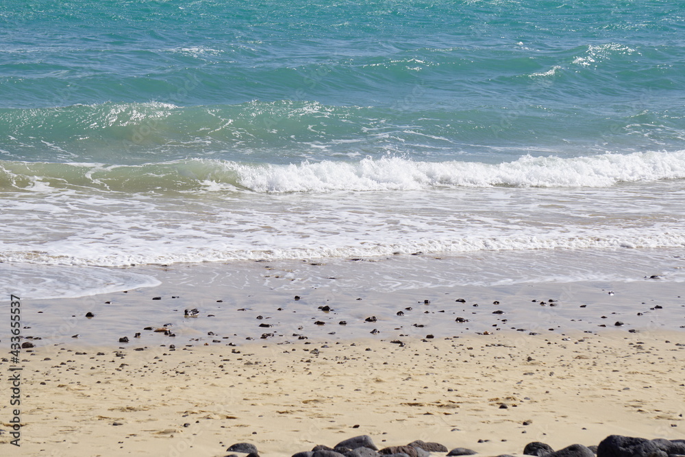 Fototapeta premium Strand Fuerteventura